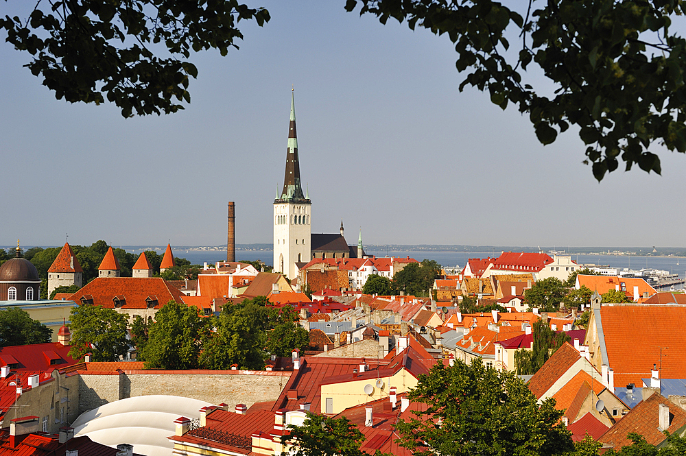 Towers and ramparts of the Old Town, UNESCO World Heritage Site, seen from Kohtu street view platform on Toompea Hill, Tallinn, Estonia, Europe