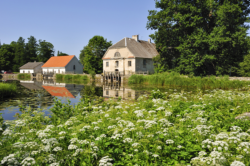 pond of Vihula Manor Country Club,Lahemaa National Park,estonia,northern europe