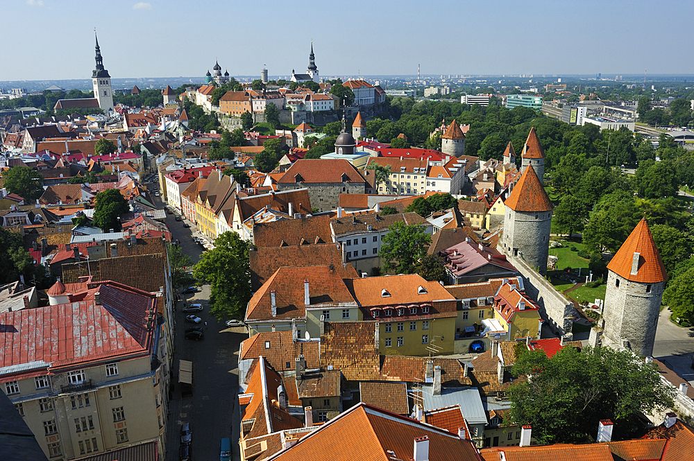 the Old Town seen from the tower of St Olav'church,Tallinn,estonia,northern europe