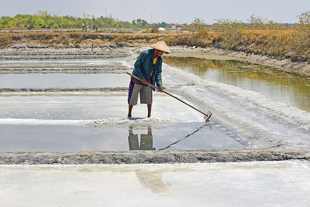 Salt ponds of Punjulharjo Village near Lasem, Java island, Indonesia, Southeast Asia, Asia