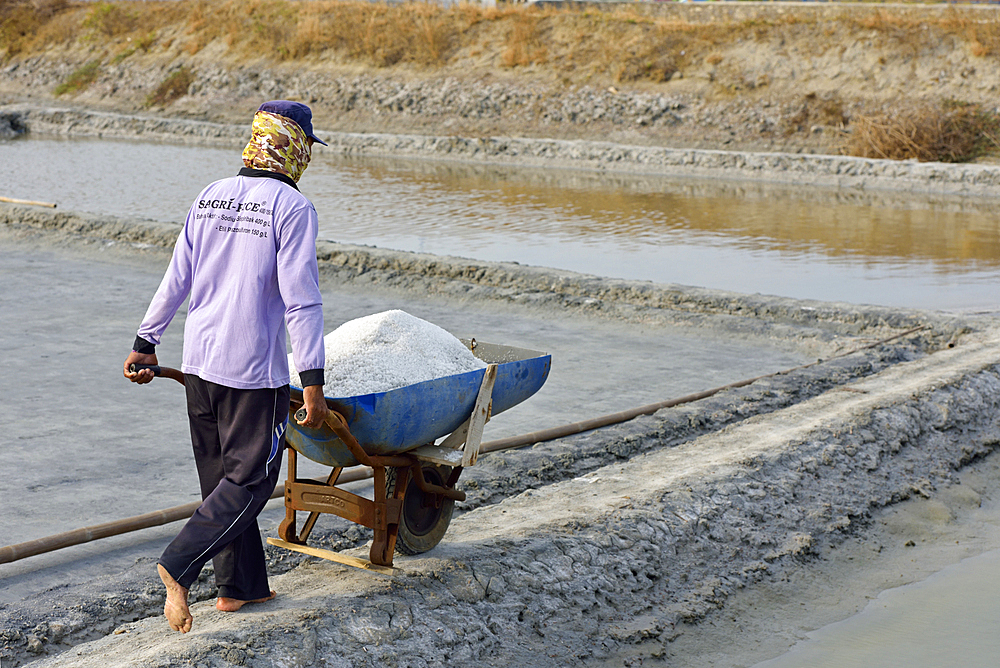 Worker pushing wheel barrow full of salt, Salt fields at Karangjahe, near Lasem, Java island, Indonesia, Southeast Asia, Asia