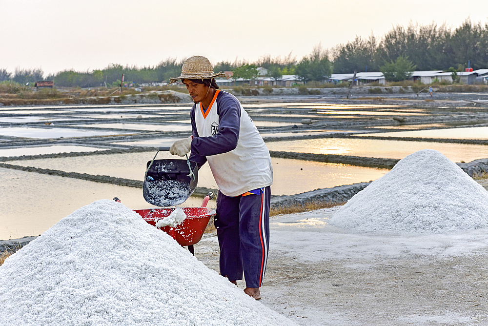 Salt fields at Karangjahe, near Lasem, Java island, Indonesia, Southeast Asia, Asia