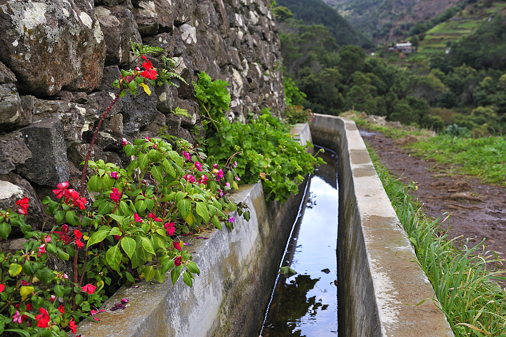 Levada (aqueduct) on the heights of Machico, Madeira island, Atlantic Ocean, Portugal