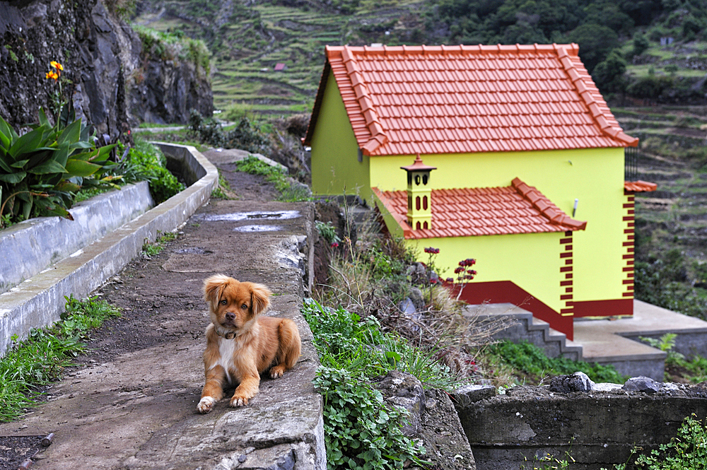 levada (aqueduct) on the heights of Machico,Madeira island,Atlantic Ocean,Portugal