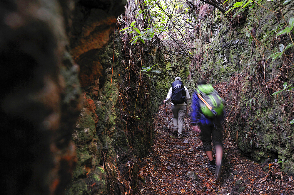 hikers on an ancient path used by villagers to cross the island from North to South, on the heights of Santana,Madeira island,Atlantic Ocean,Portugal