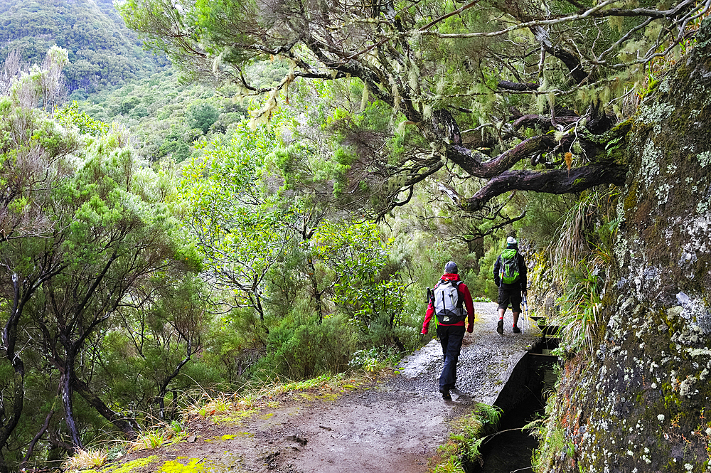 Hikers on Rabacal levada walk towards the 25 Fountains cirque,Madeira island,Atlantic Ocean,Portugal