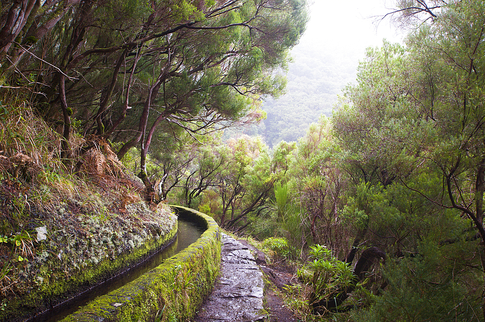 Rabacal levada walk towards the 25 Fountains cirque,Madeira island,Atlantic Ocean,Portugal