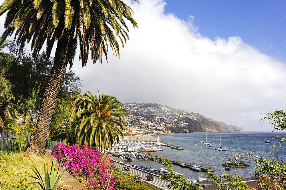 garden above the port,Funchal,Madeira island,Atlantic Ocean,Portugal