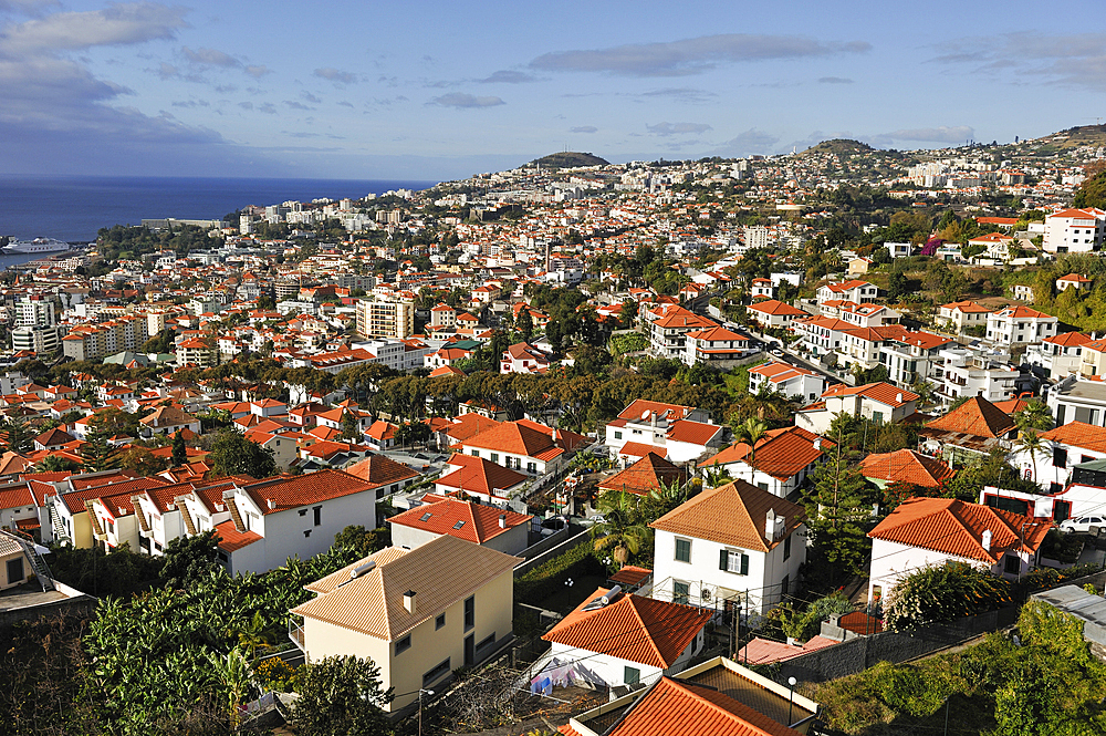 aerial view from the aerial tramway,Funchal,Madeira island,Atlantic Ocean,Portugal