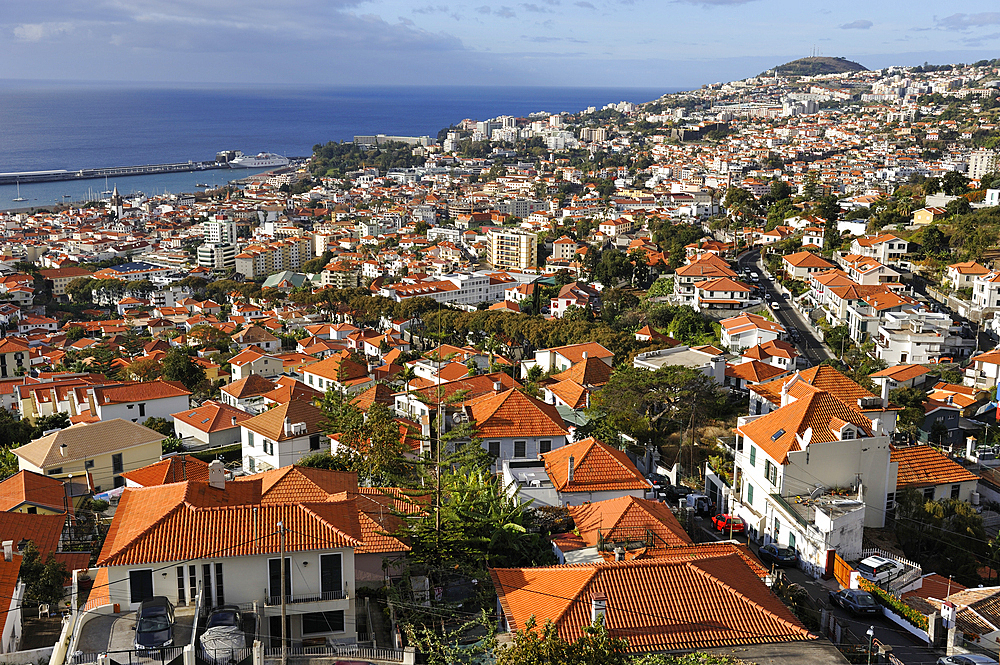 Aerial view from the aerial tramway, Funchal, Madeira island, Atlantic Ocean, Portugal