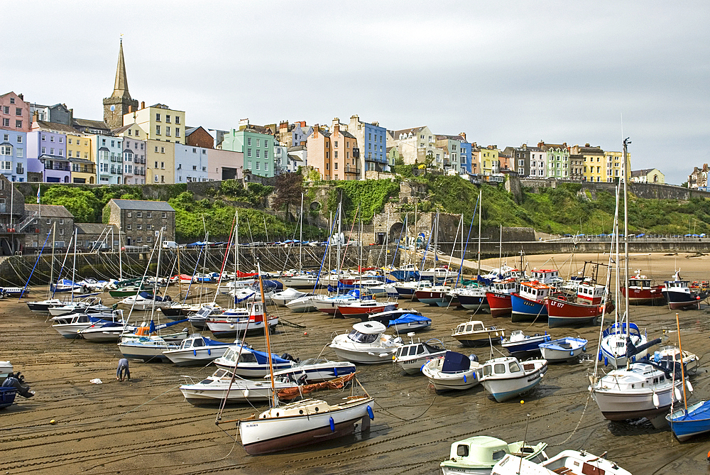 Tenby's harbour, lying on Carmarthen Bay, Pembrokeshire, south-west Wales, United Kingdom,Great Britain,Europe