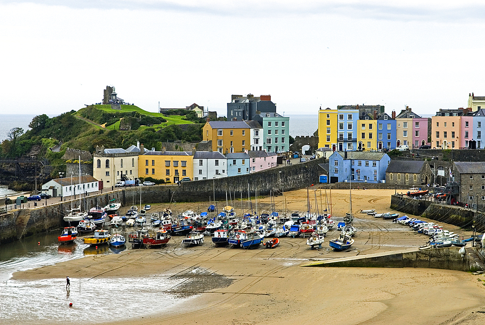 Tenby's harbour, lying on Carmarthen Bay, Pembrokeshire, south-west Wales, United Kingdom,Great Britain,Europe