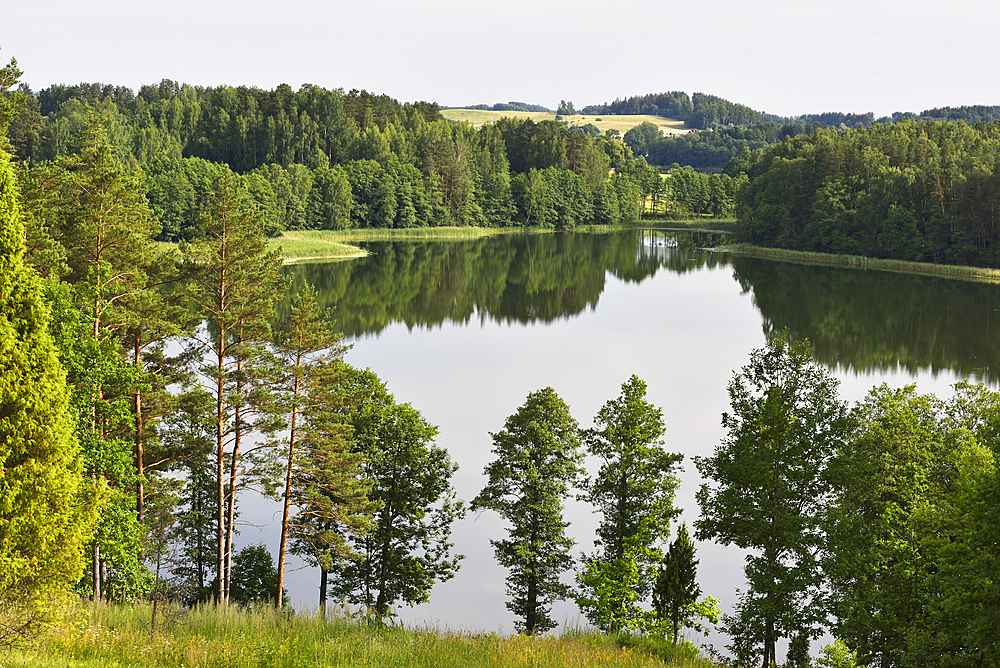 View over Alksnas lake from the top of Ladakalnis hill, one of the famous sights of Aukstaitija National Park, Lithuania, Europe