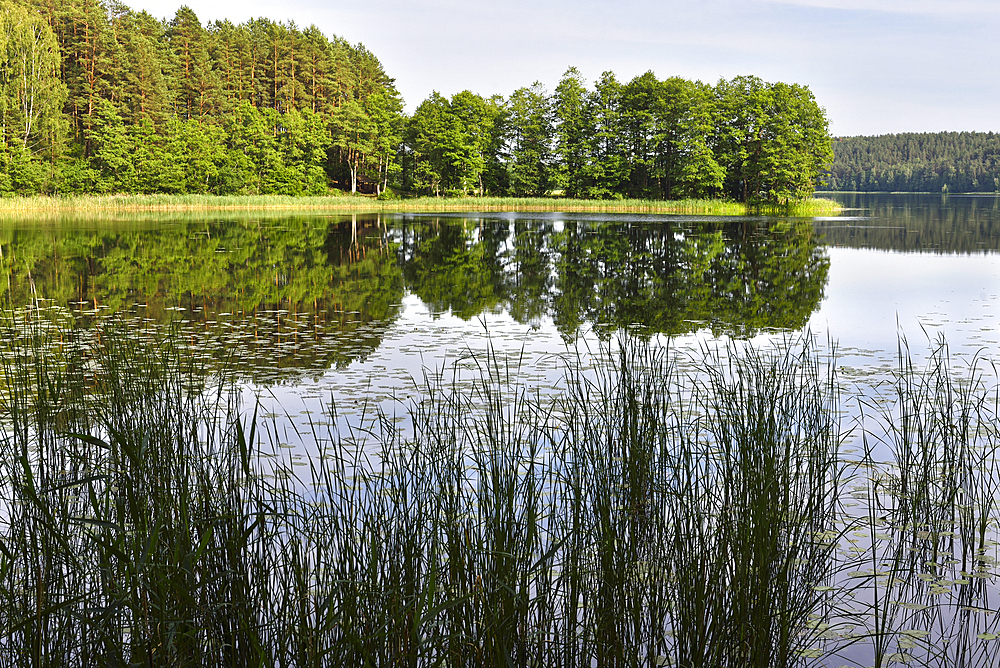 Linkmenas lake, Ginuciai, Aukstaitija National Park, Lithuania, Europe