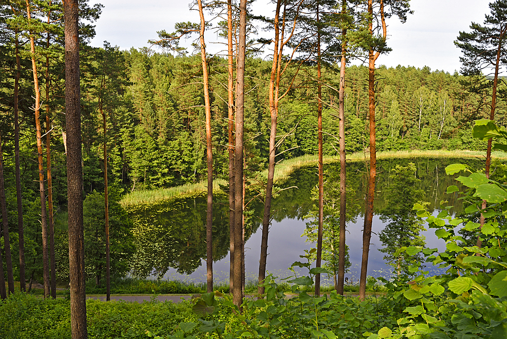 Linkmenas lake seen from the Ginuciai mound where the famous Linknenys castle stood during the 13th to 15th centuries, Ginuciai, Aukstaitija National Park, Lithuania,Europe