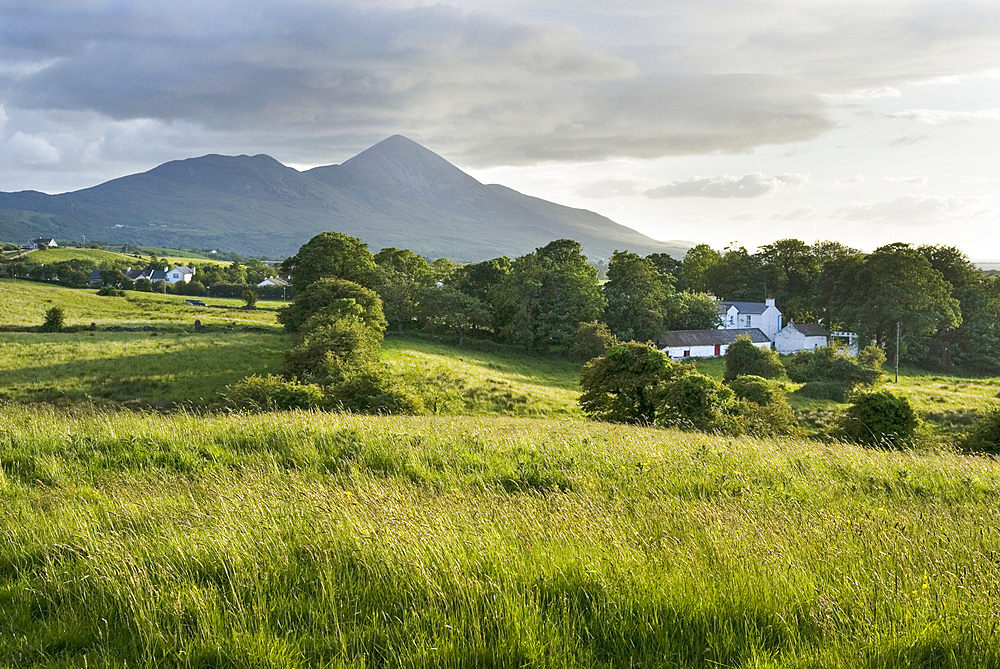 Countryside around Wesport, with Croagh Patrick in background, County Mayo, Connacht, Republic of Ireland