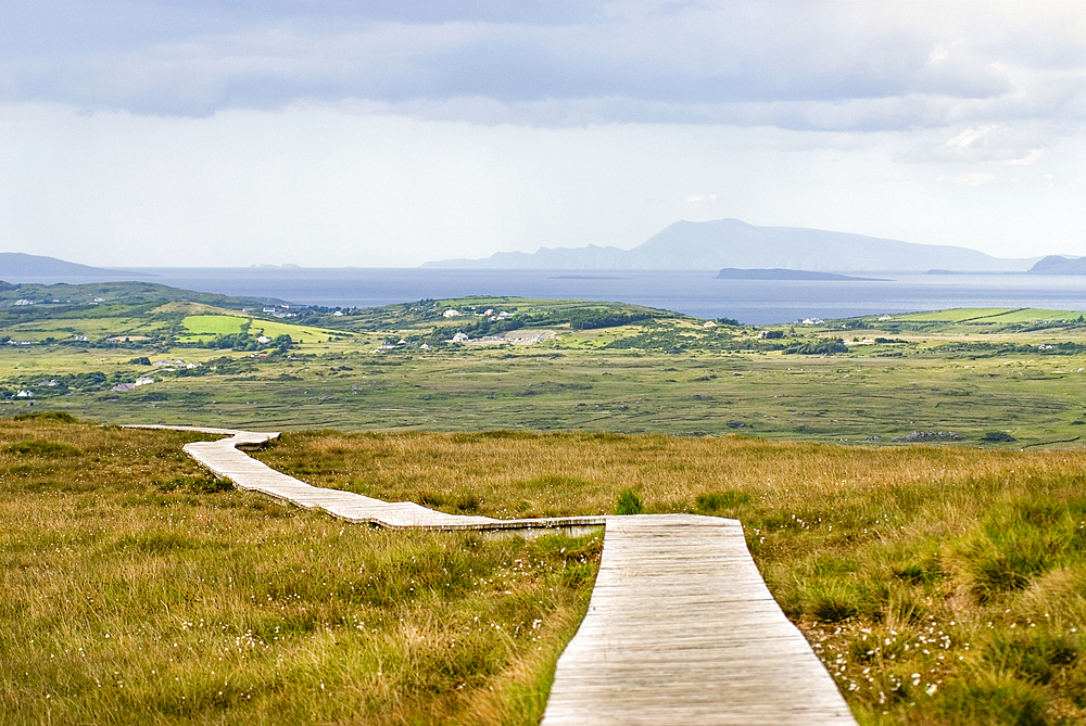 Barnaderg Bay around Letterfrack, Connemara National Park, Connemara, County Galway, Connacht, Republic of Ireland