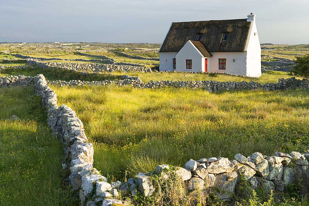 Cottage and low stone wall, Connemara, County Galway, Connacht, Republic of Ireland