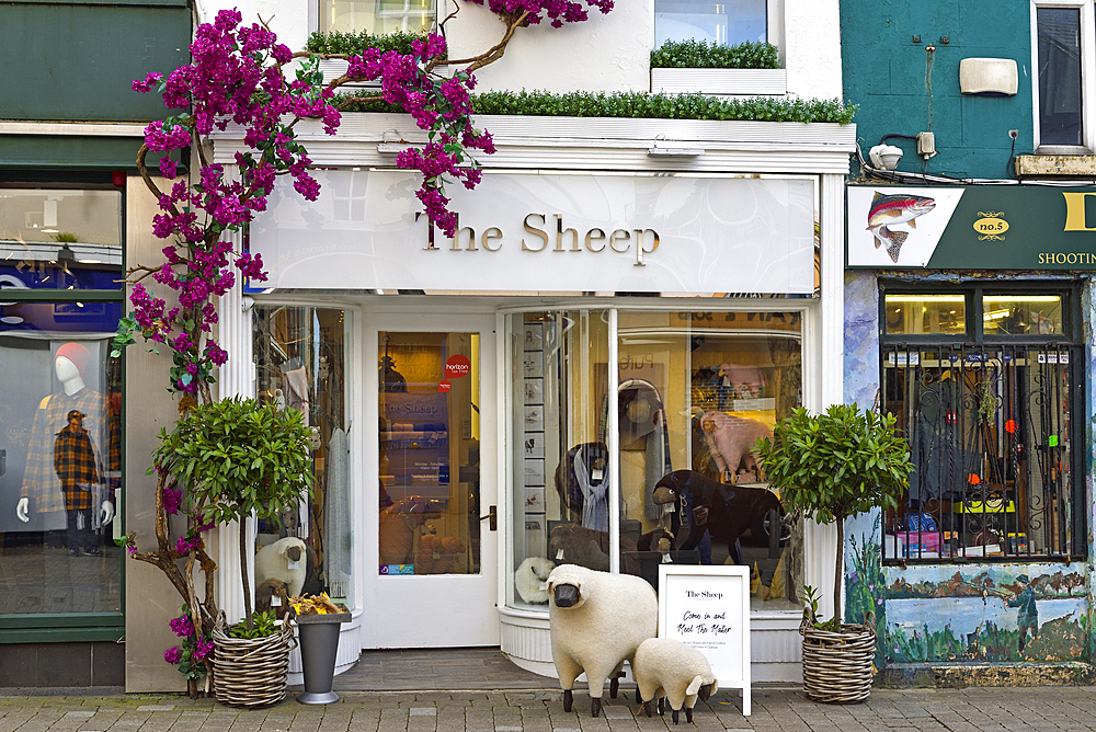 Shop front of The Sheep gifts shop in Maionguard Street, Galway, Connemara, County Galway, Connacht, Republic of Ireland