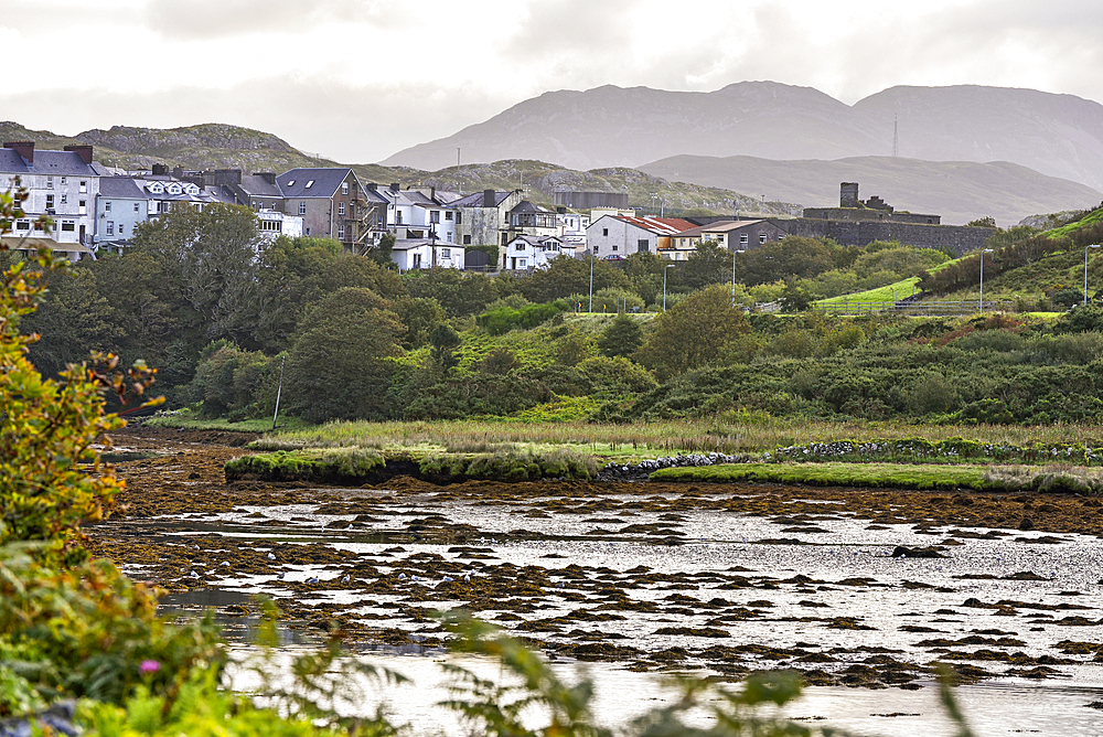 Bay of Clifden at low tide, Connemara, County Galway, Connacht, Republic of Ireland