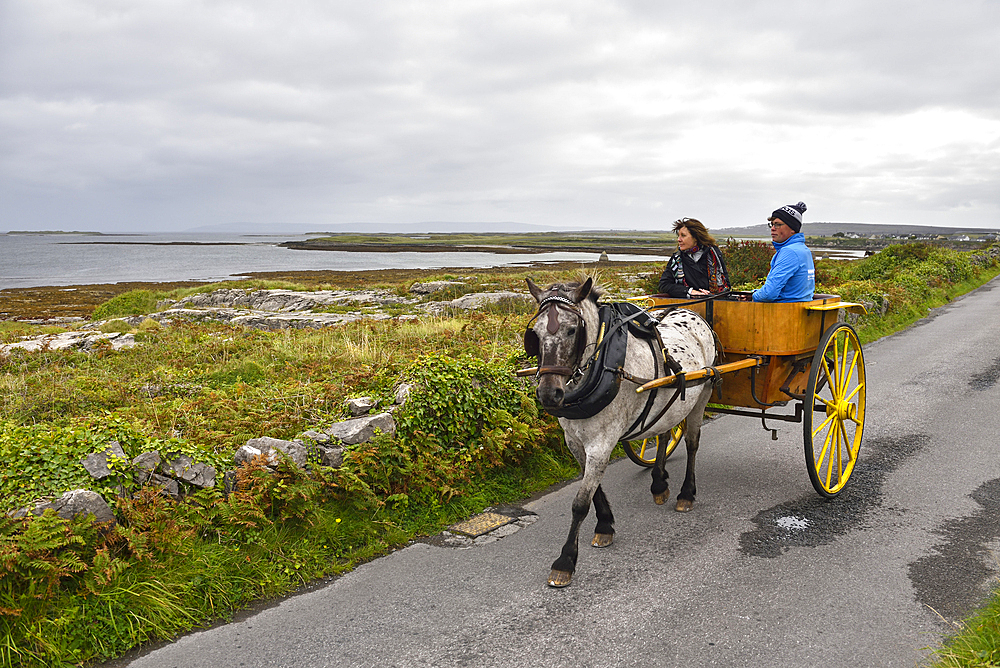 Horse-drawn carriage trip at Inishmore, largest of the Aran Islands, Galway Bay, County Galway, Connacht, Republic of Ireland