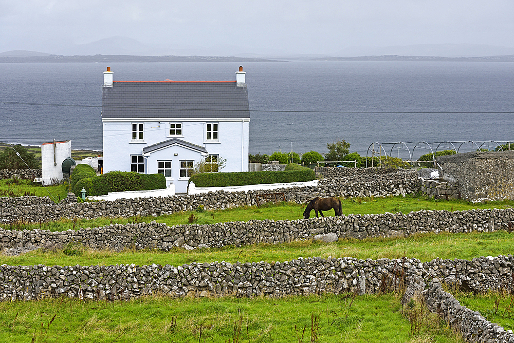 House and low stonewall at Inishmore, largest of the Aran Islands, Galway Bay, County Galway, Connacht, Republic of Ireland