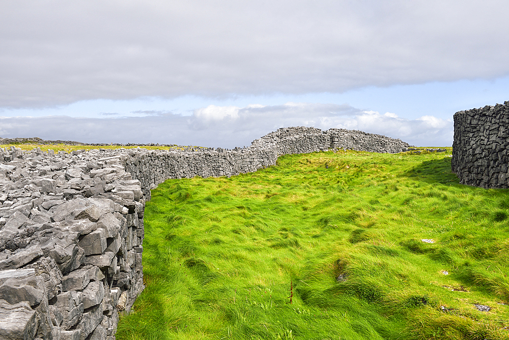 Meadow between walls of Dun Aengus, prehistoric hill fort, Inishmore, largest Aran Island, Galway Bay, County Galway, Connacht, Republic of Ireland