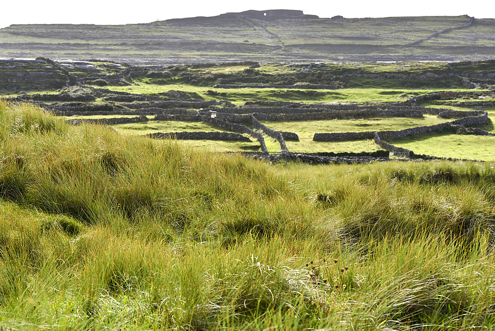 Grassy dunes of Cil Mhuirbhigh (Kilmurvey Village), Inishmore, largest of the Aran Islands, Galway Bay, County Galway, Connacht, Republic of Ireland