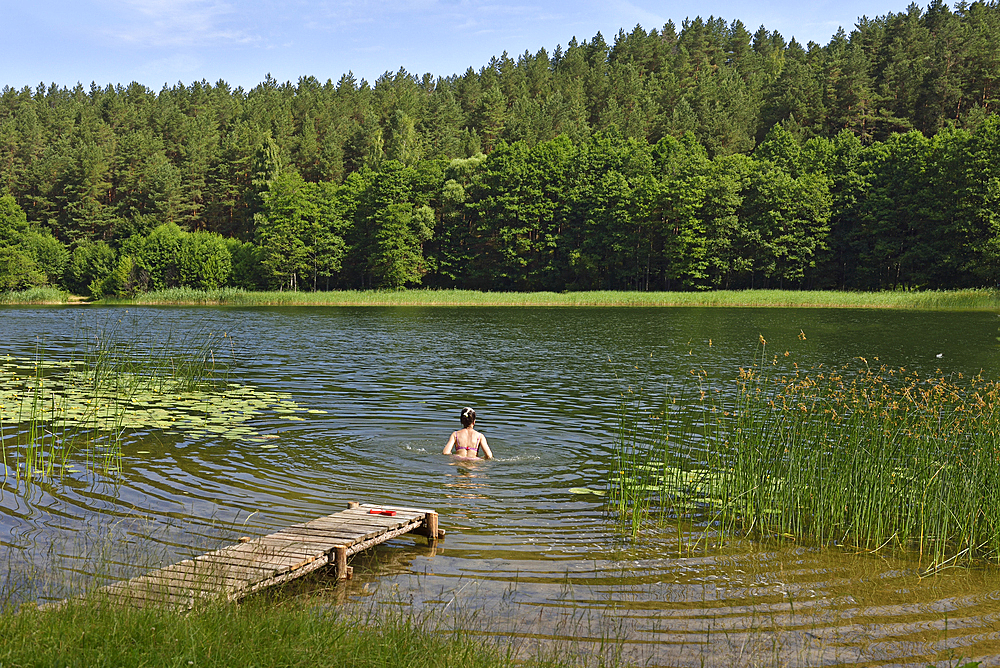 On the edge of Lusiai Lake at Paluse, Aukstaitija National Park, Lithuania, Europe