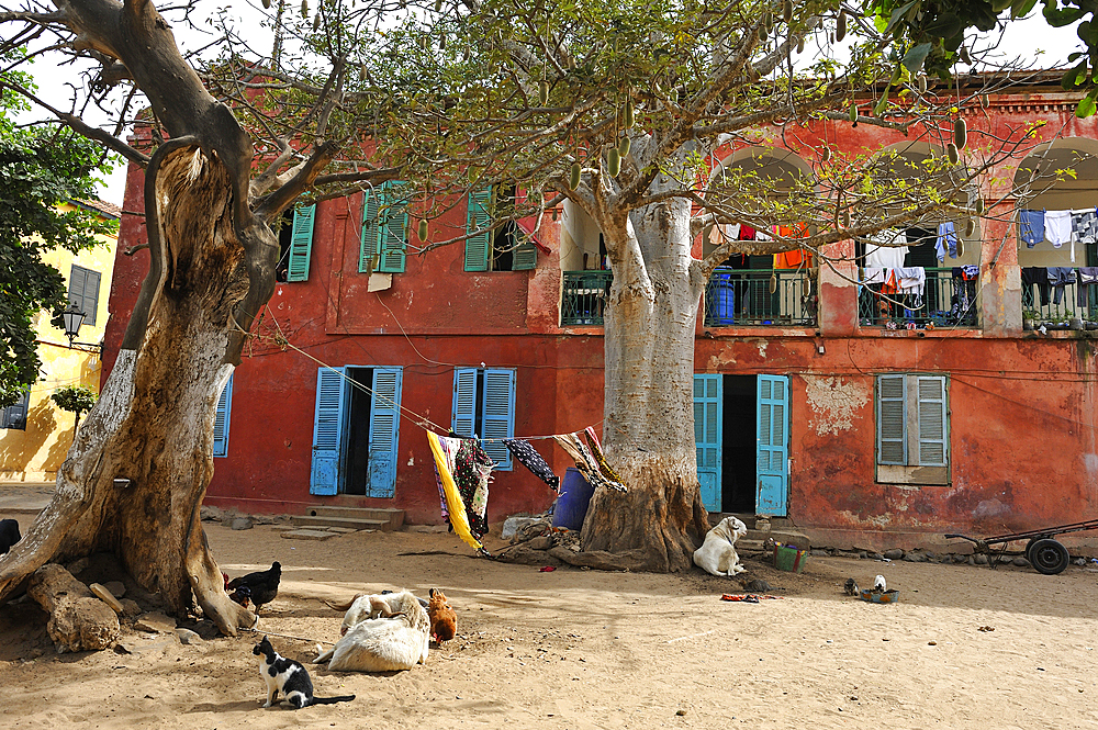 main square at Ile de Goree (Goree Island), Dakar,Senegal, West Africa