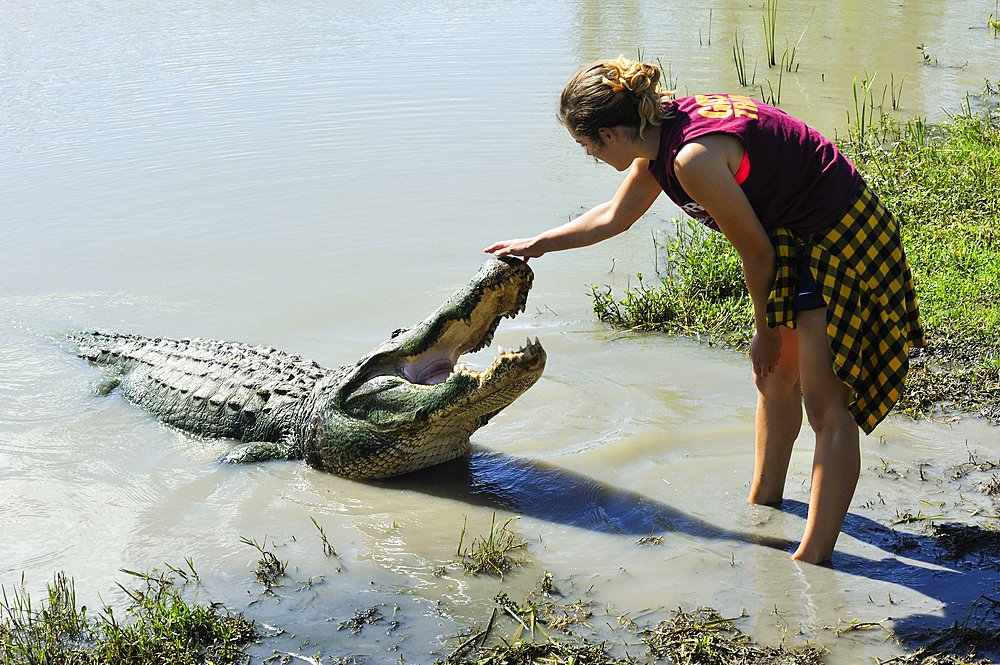 Young woman working at Gator Country Wildlife Adventure Park, Beaumont, Texas, United States of America