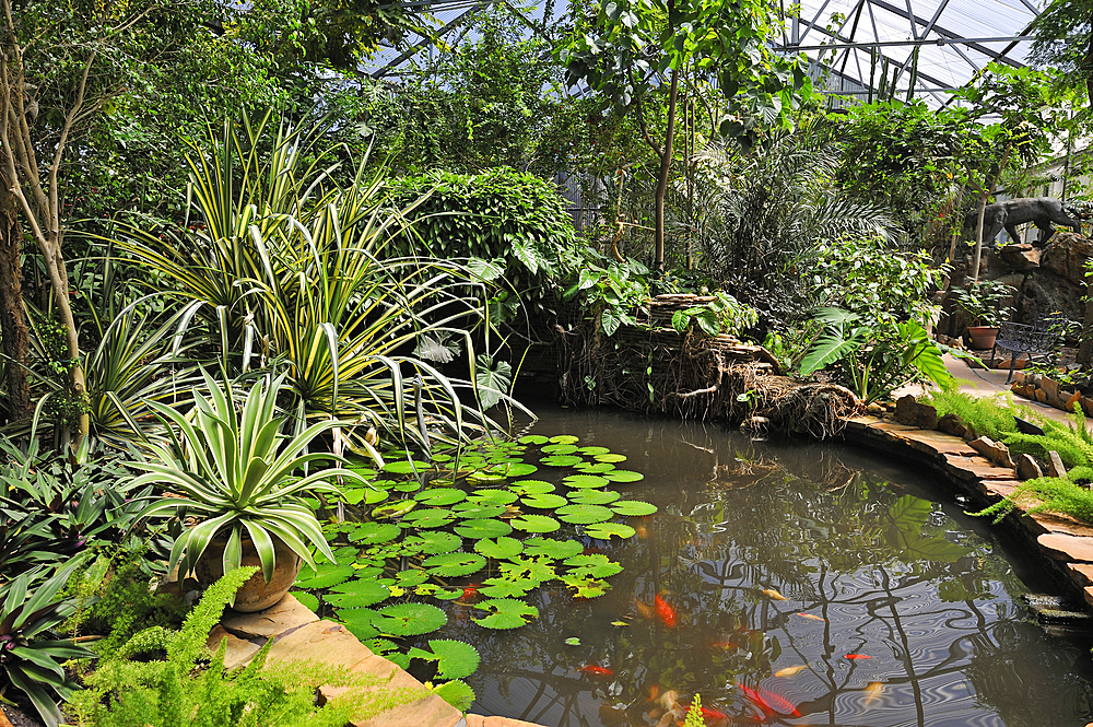 Botanical Garden within Tyrrell Park, Beaumont, Texas, United States of America, North America