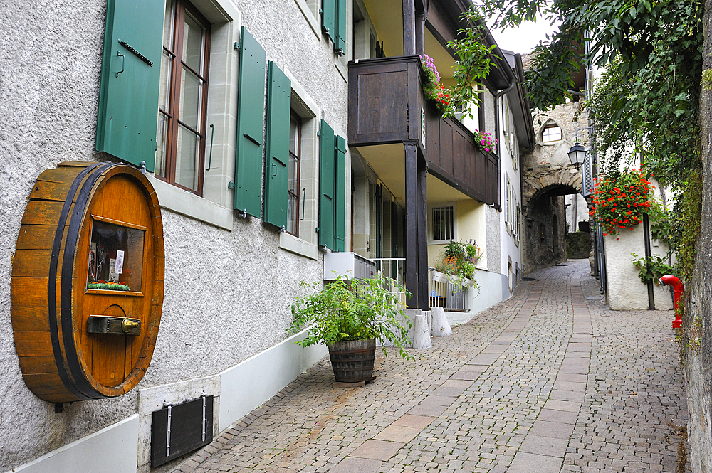 Medieval village of Saint-Saphorin in middle of Vineyard terraces of Lavaux on the bank of Lake Leman, near Lausanne, Canton of Vaud, Switzerland