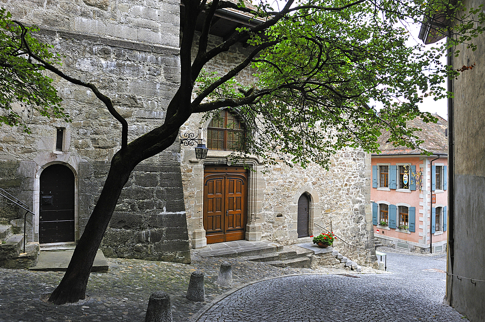 Medieval village of Saint-Saphorin in middle of Vineyard terraces of Lavaux on the bank of Lake Leman, near Lausanne, Canton of Vaud, Switzerland