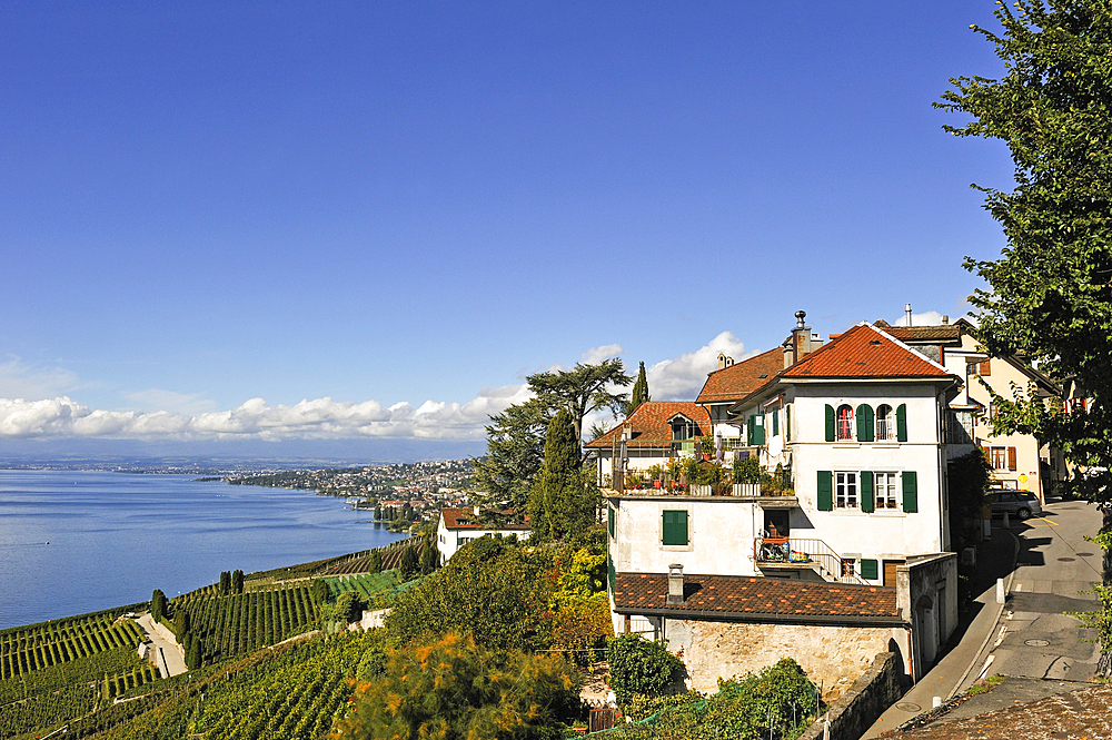 Village of Granvaux in the Vineyard terraces of Lavaux on the bank of Lake Leman, around Lausanne, Canton of Vaud, Switzerland