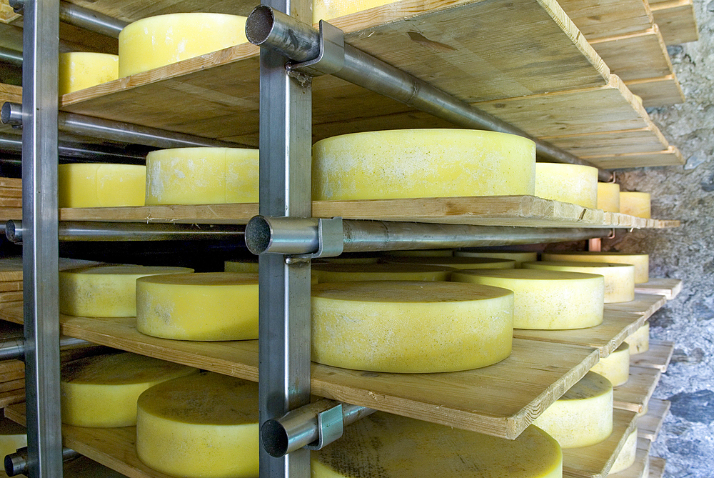 Small cheese factory in montane grassland, Canton Ticino, Switzerland