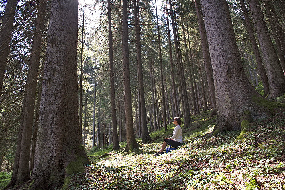 Young woman relaxing in European spruce forest, near Villabassa in High Puster Valley, South Tyrol (Alto Adige), Italy