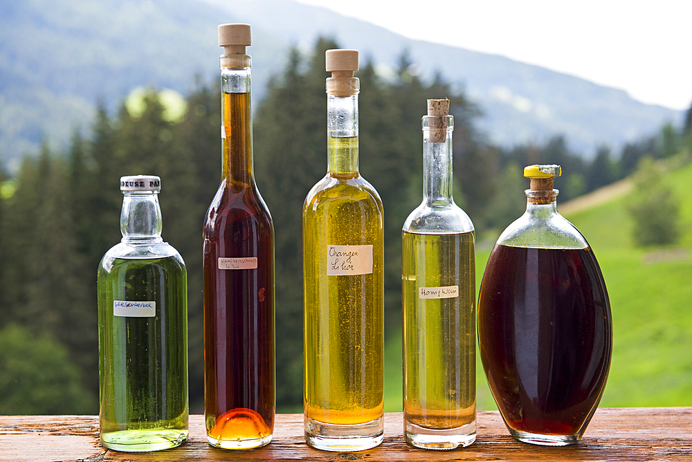 Fruit brandies (schnapps) display, Unterstein, Farm Holidays, Villabassa /Niederdorf, Puster Valley, Trentino-Alto Adige, Sudtyrol, South Tyrol, Italy, South-central Europe