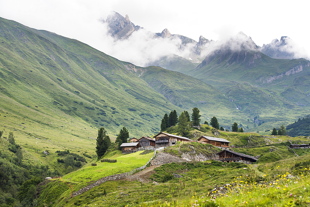 Riva Valley (Val di Riva) (Reintal), near Ahrntal (Valle Aurina), South Tyrol (Alto Adige), Italy