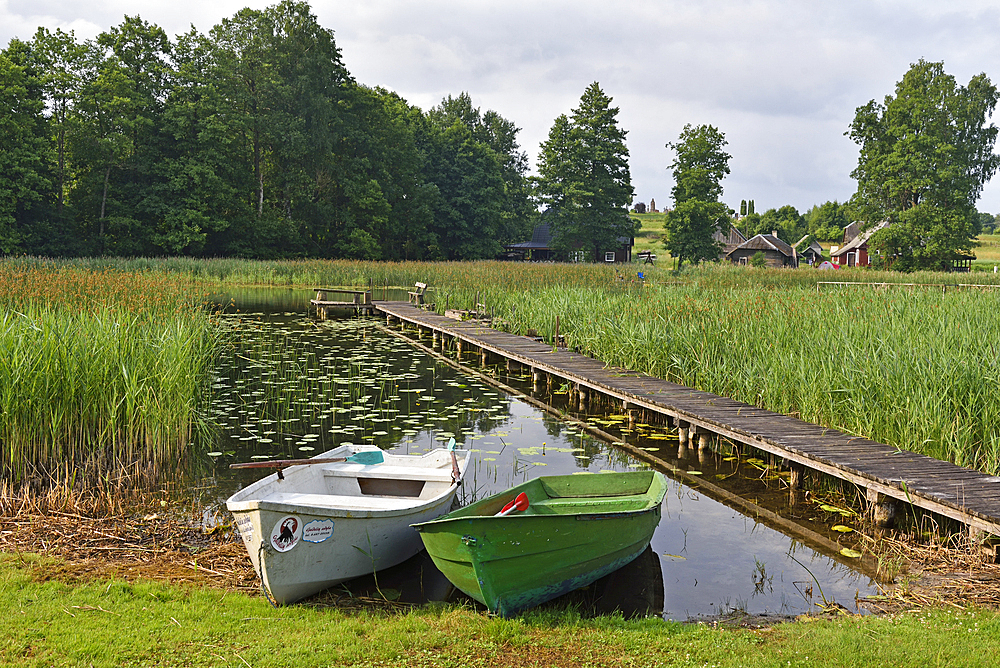 Srovinatis lakeshore, Ginuciai, Aukstaitija National Park, Lithuania, Europe