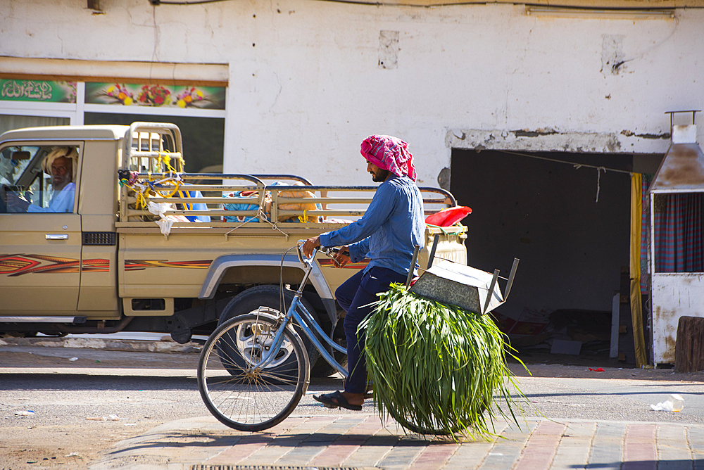 Street in Al Mintarib, village on the edge of The Sharqiya Sands, formerly Wahiba Sands, desert region, Sultanate of Oman, Arabian Peninsula