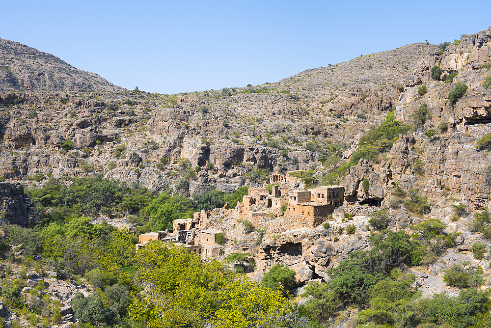 Old adobe village in ruins of Al Ain, perched villages of Jabal Al Akhdar (Green Mountains), Sayq Plateau, Sultanate of Oman, Arabian Peninsula