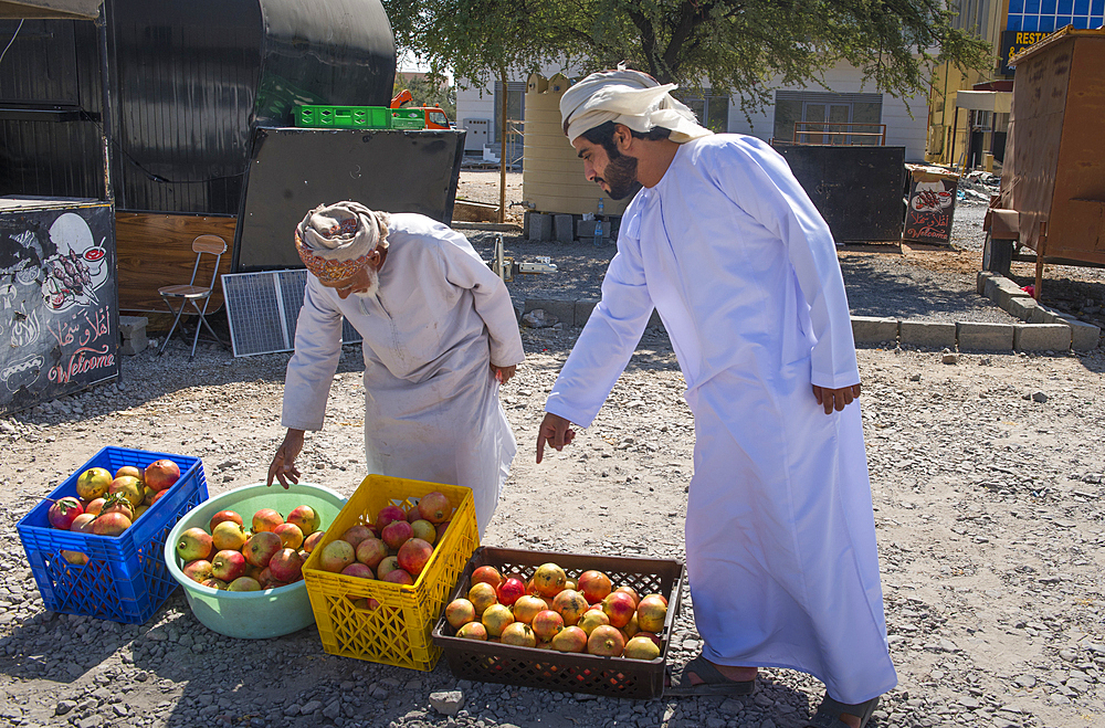 Man selling Pomegranates (fruit) on the edge of the road, Sultanate of Oman, Arabian Peninsula, Middle East