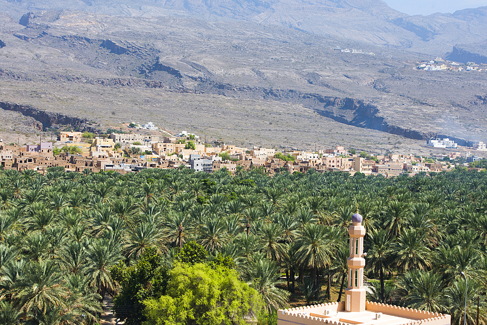 Al-Hamra village and the palm grove, a 400-year-old town in the region Ad Dakhiliyah, Akhdar Mountains, Sultanate of Oman, Arabian Peninsula