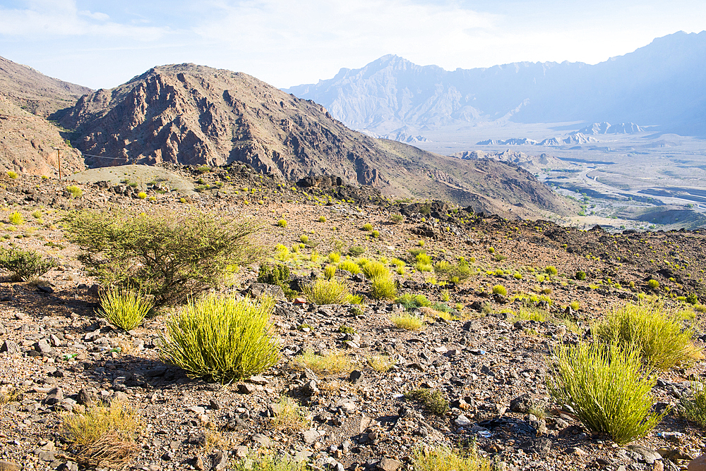 Landscape around Wakan village, Western Al Hajar Mountains, border South Batinah and Al Dakhiliyah Governorates, Oman, Arabian Peninsula