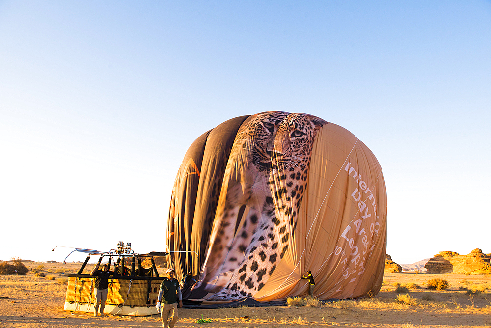 Balloon deflating after Hot air balloon flight over Hegra site and around with Hero Balloon Flights Saudi Operator, AlUla, Medina Province, Saudi Arabia, Middle East