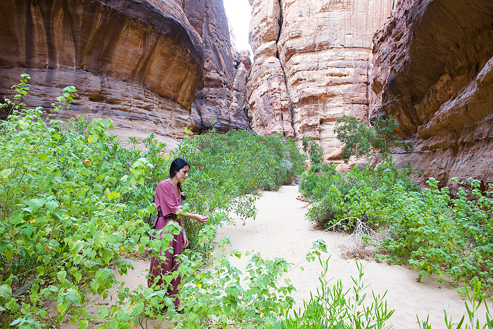 Woman walking at the bottom of a canyon with sandstone walls in the Sharaan Nature Reserve, AlUla, Medina Province, Saudi Arabia, Middle East