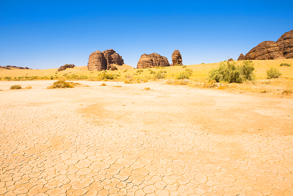 large dry salt lake in the Sharaan Nature Reserve, AlUla, Medina Province, Saudi Arabia, Middle East