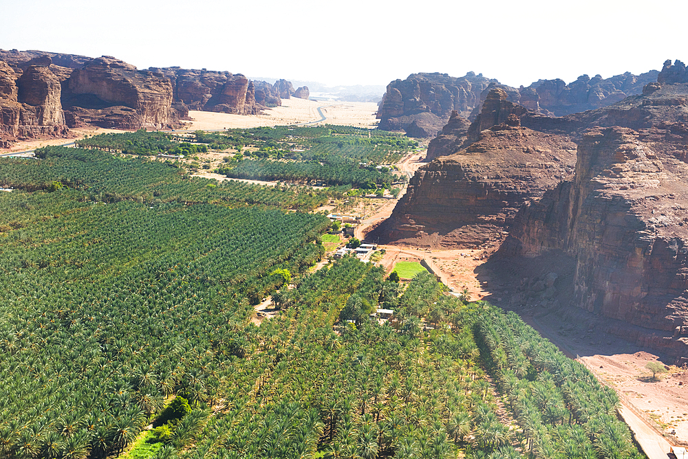 Aerial view of Palm grove and farms in the oasis of AlUla, Medina Province, Saudi Arabia, Middle East