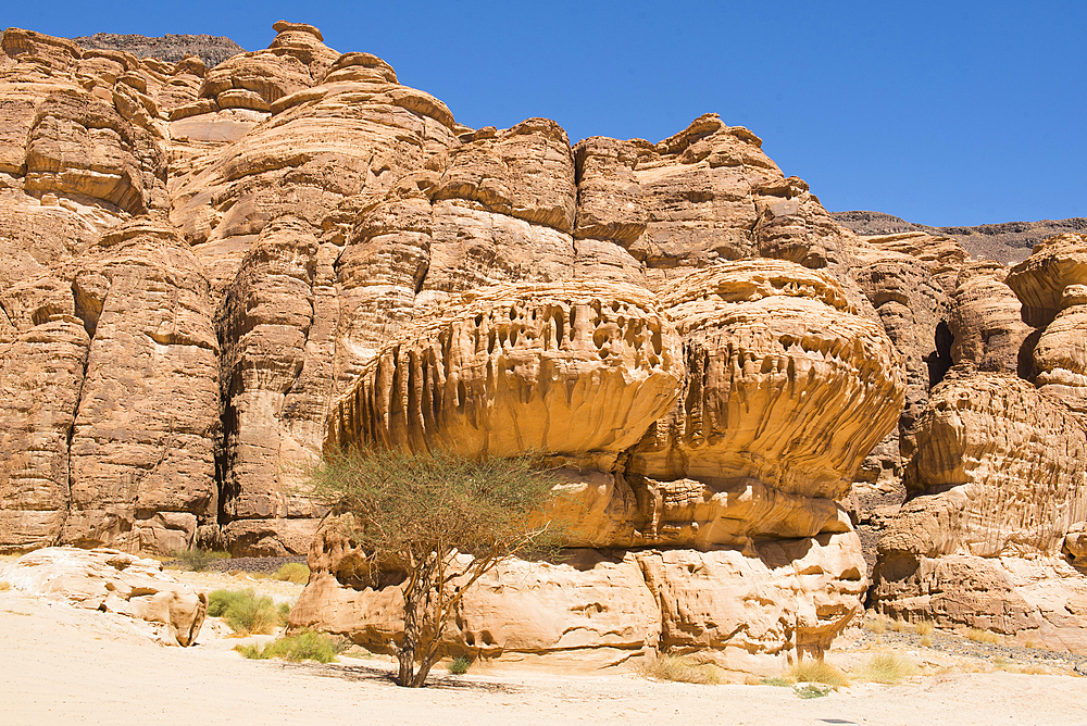 Remarkable sandstone rock carved by erosion in the Ashar Valley, AlUla, Medina Province, Saudi Arabia, Middle East